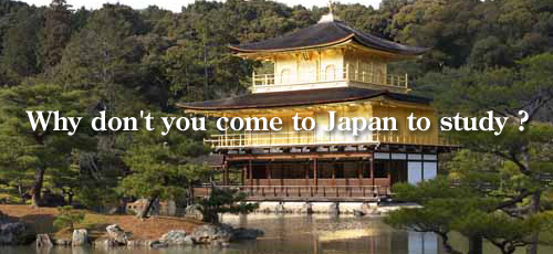 Why don't you come to Japan to study ?