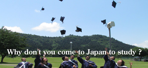 Why don't you come to Japan to study ?
